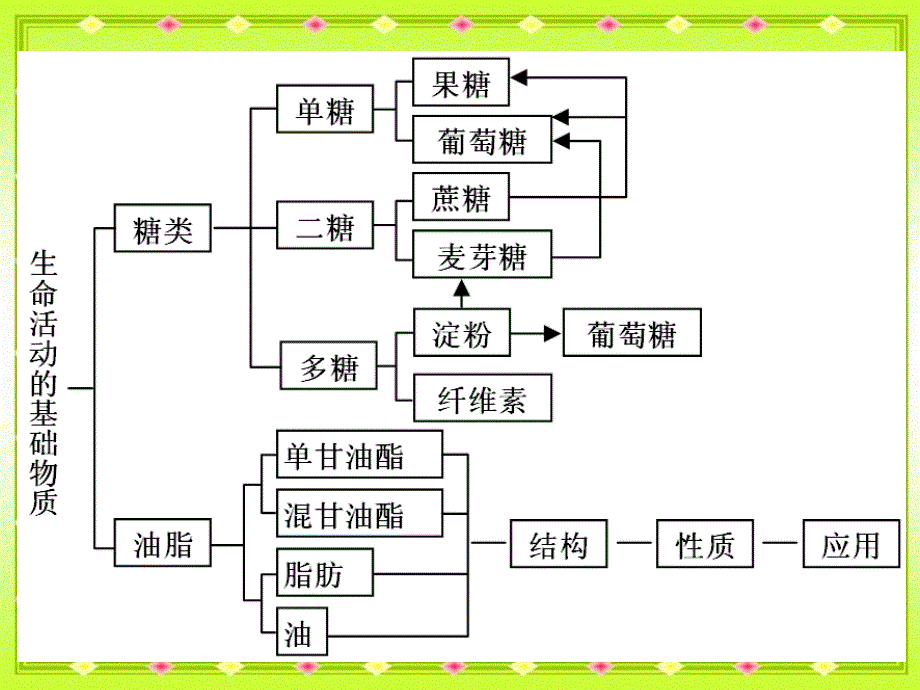 生命活动的物质基础单元复习_第1页