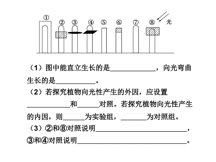 稳态综合应用_第1页