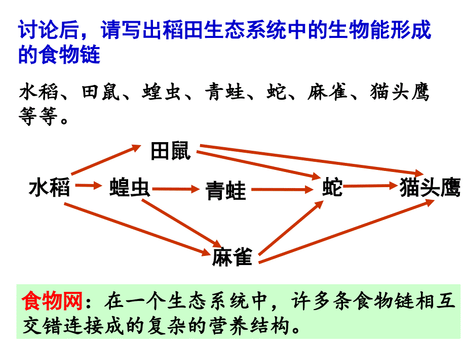 生态系统的结构时_第1页