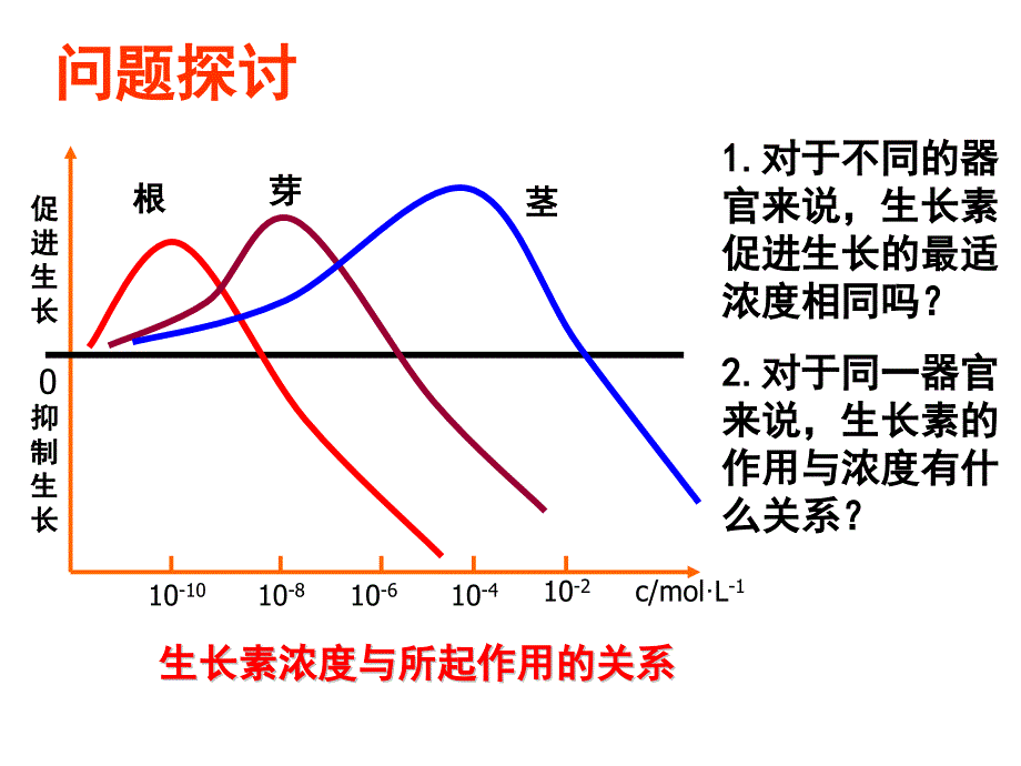 生长素的生理作用_第1页