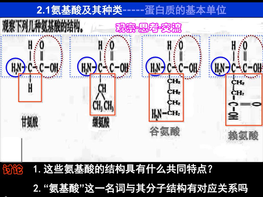 生命活动的主要承担者蛋白质_第1页