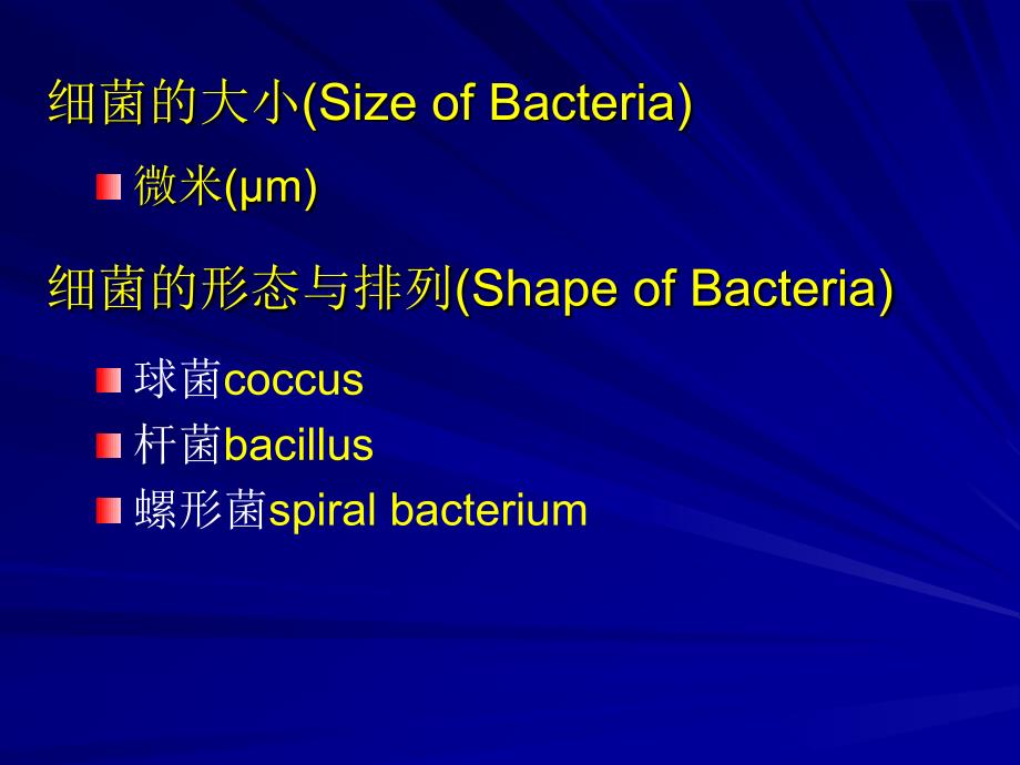 细菌形态与结构_第1页