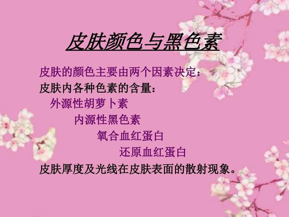 皮肤的美白_第1页