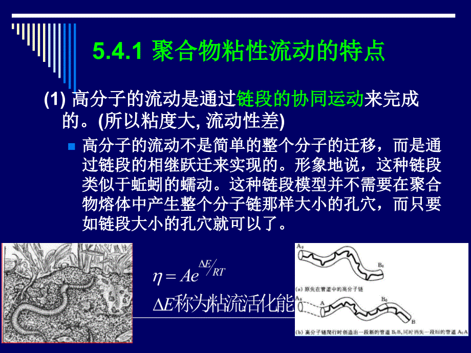 理学聚合物的粘性流动_第1页