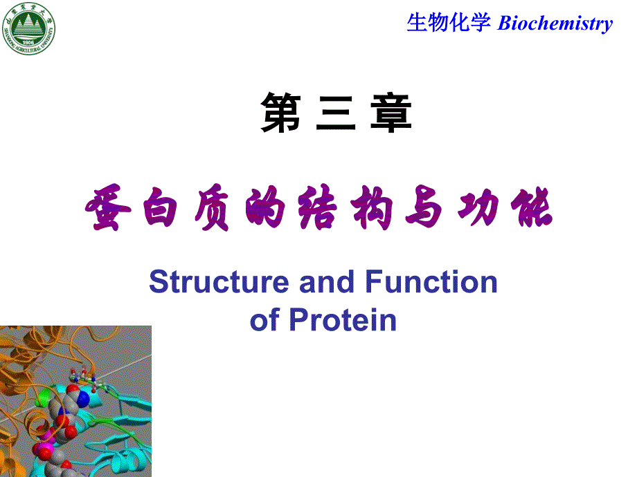 生物化学课件：Chapter 3 蛋白质的结构与功能_第1页