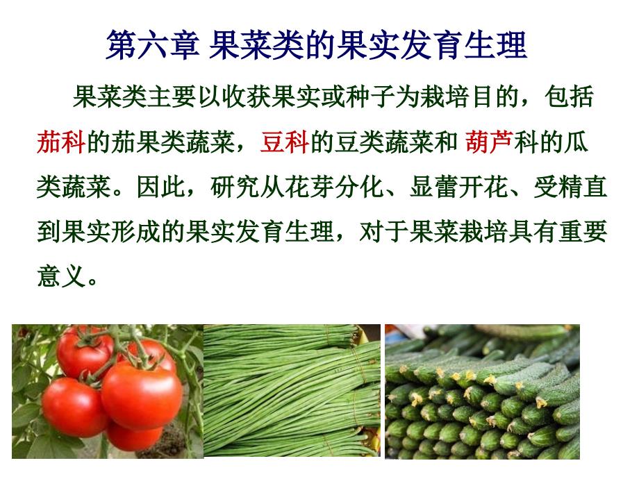 蔬菜栽培生理學(xué)：第六章 果菜類的果實發(fā)育生理_第1頁