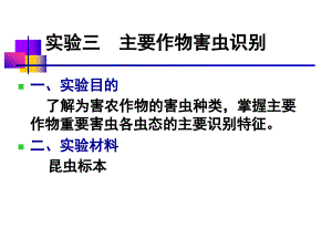 植物保護通論-昆蟲部分：實驗三 主要作物害蟲的識別