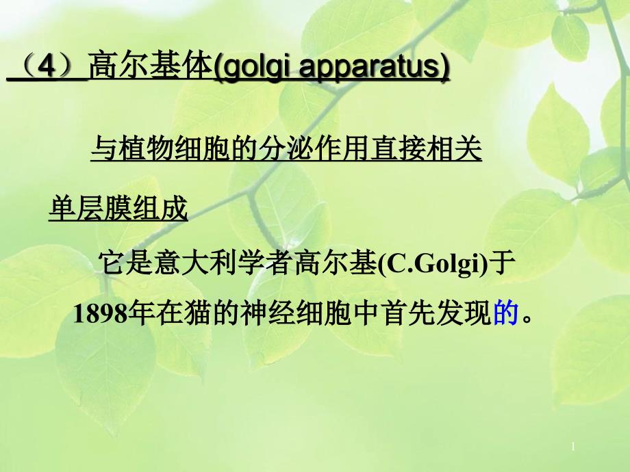 植物學(xué)教學(xué)課件：1-cell-2_第1頁