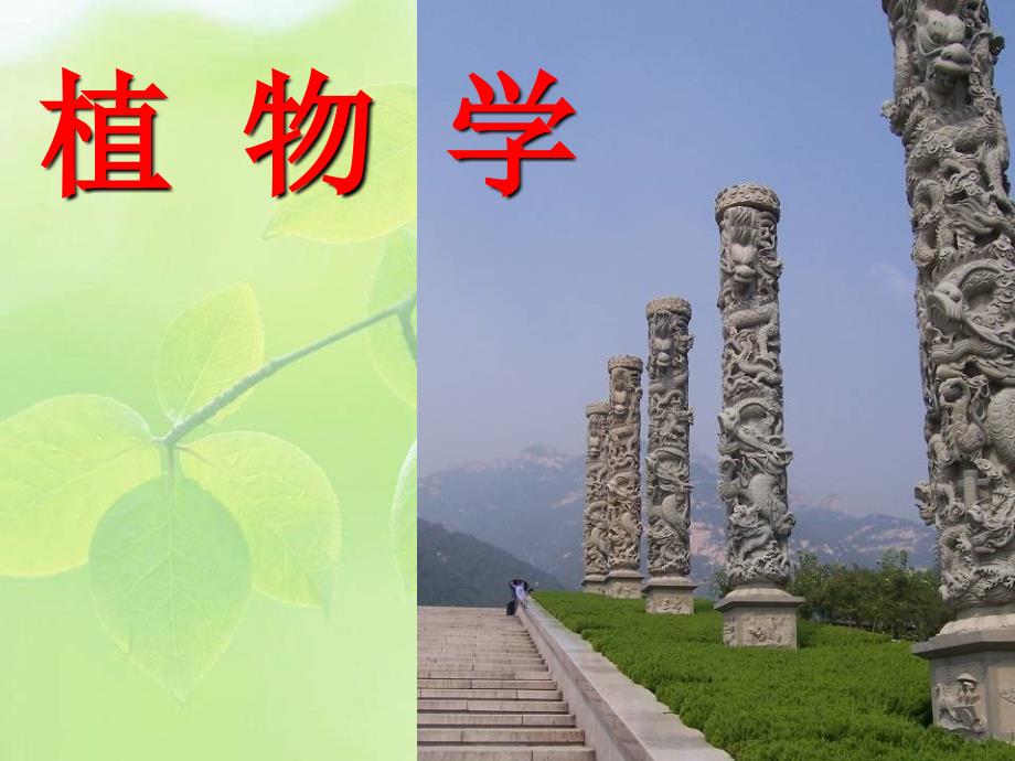 植物學(xué)教學(xué)課件：0-序論_第1頁(yè)