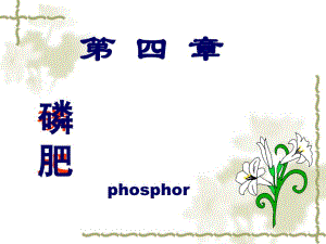 土壤肥料學課件：第9章 磷肥