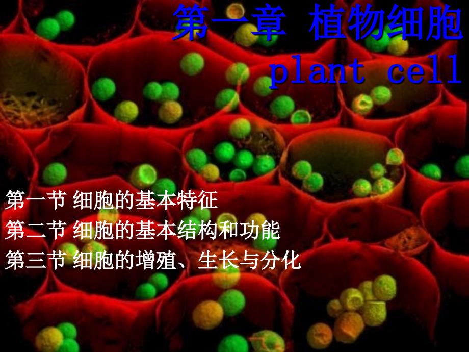 植物學(xué)教學(xué)課件：1-cell-1_第1頁