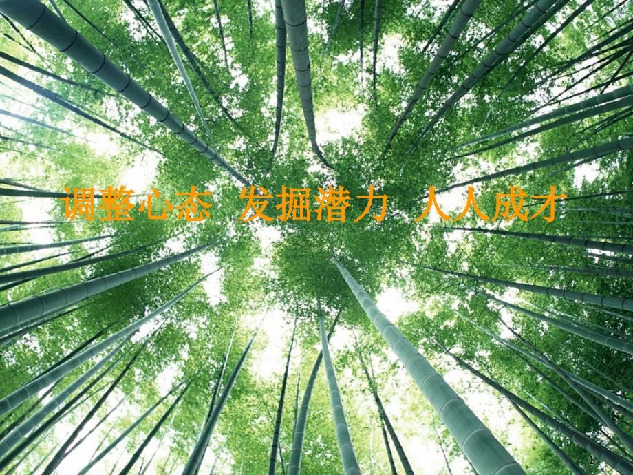 心态调整（PPT35页)_第1页