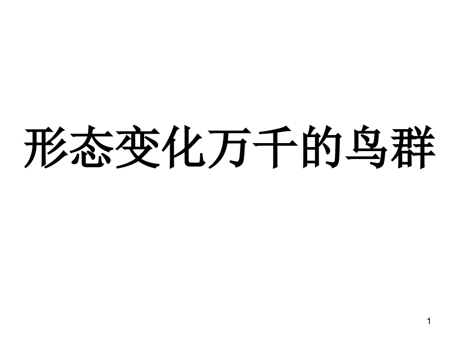 形态变化万千鸟_第1页