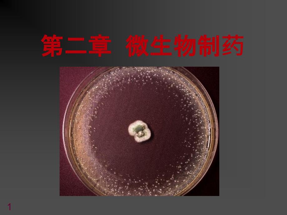 35微生物药物的发酵生产技术_第1页