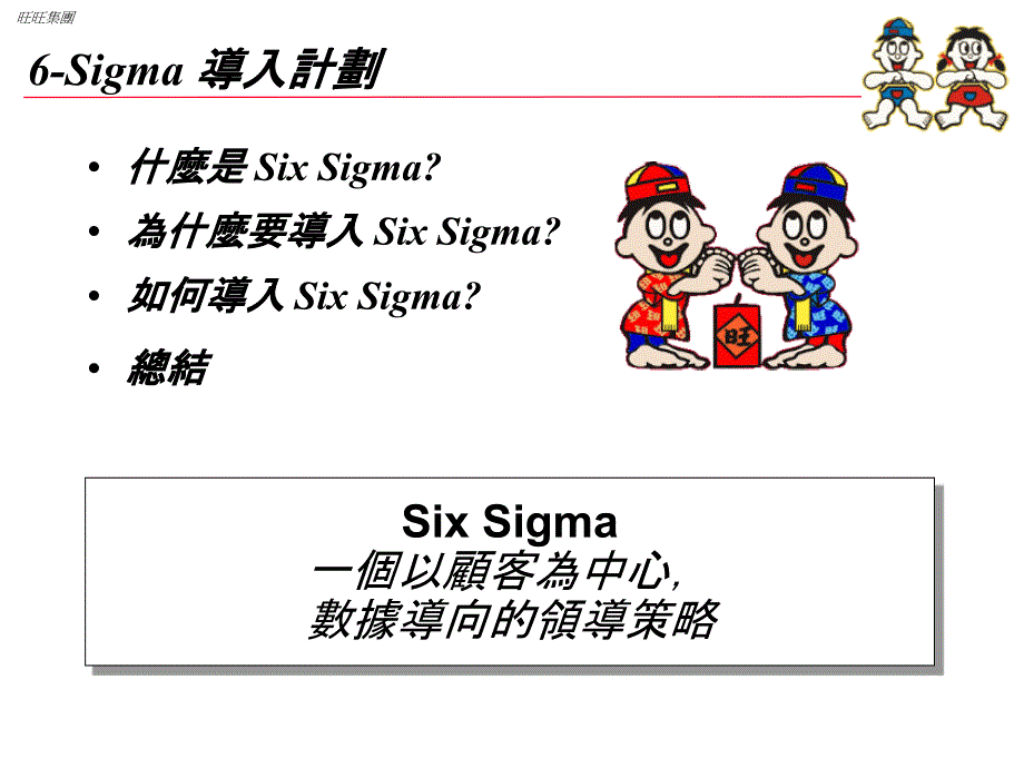 6-Sigma导入计划_第1页