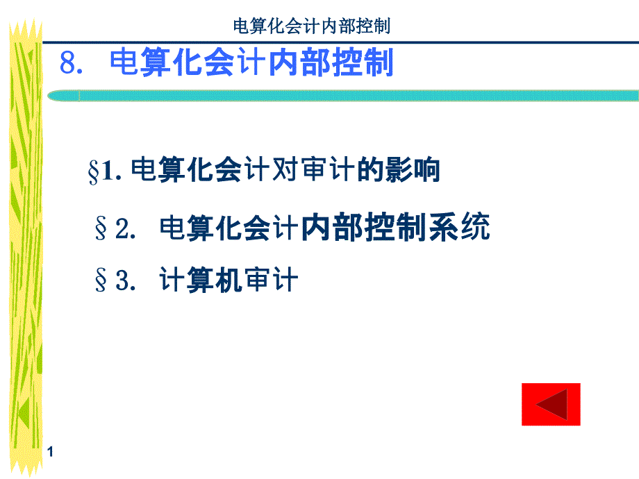 8-1会计电算化内部控制_第1页