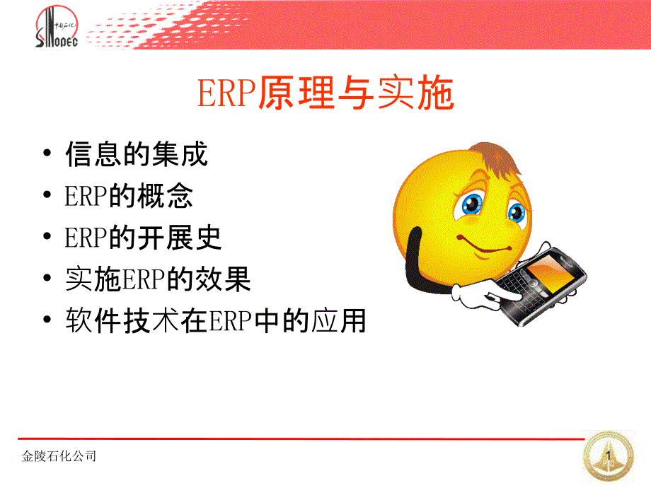 ERP的概念与内容_第1页