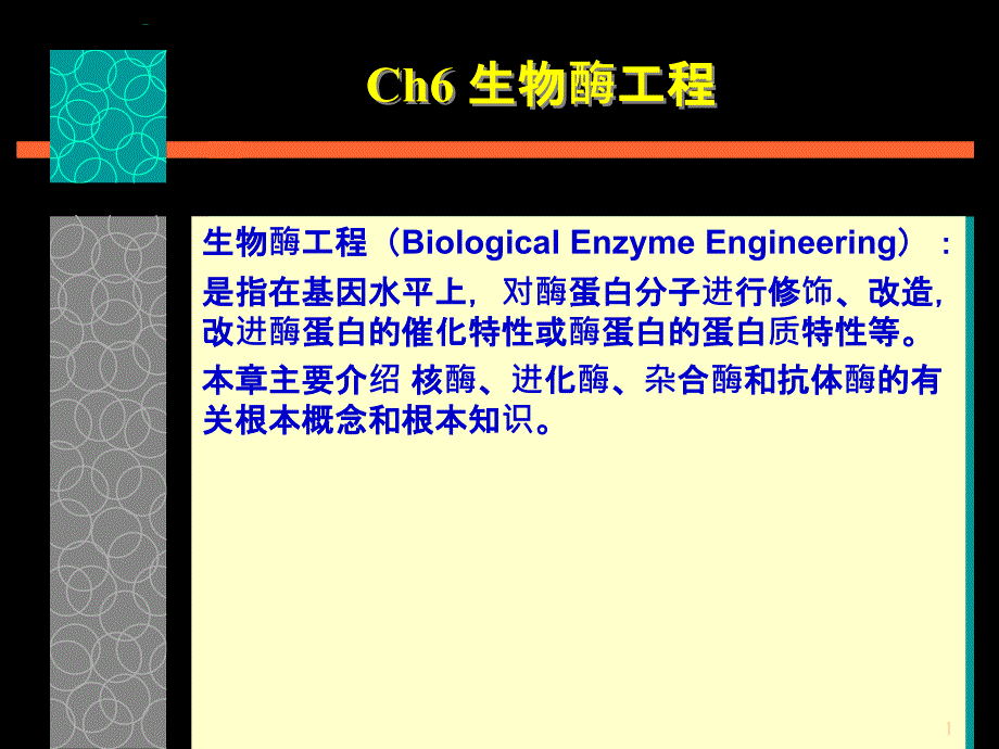 Ch6 生物酶工程_第1页