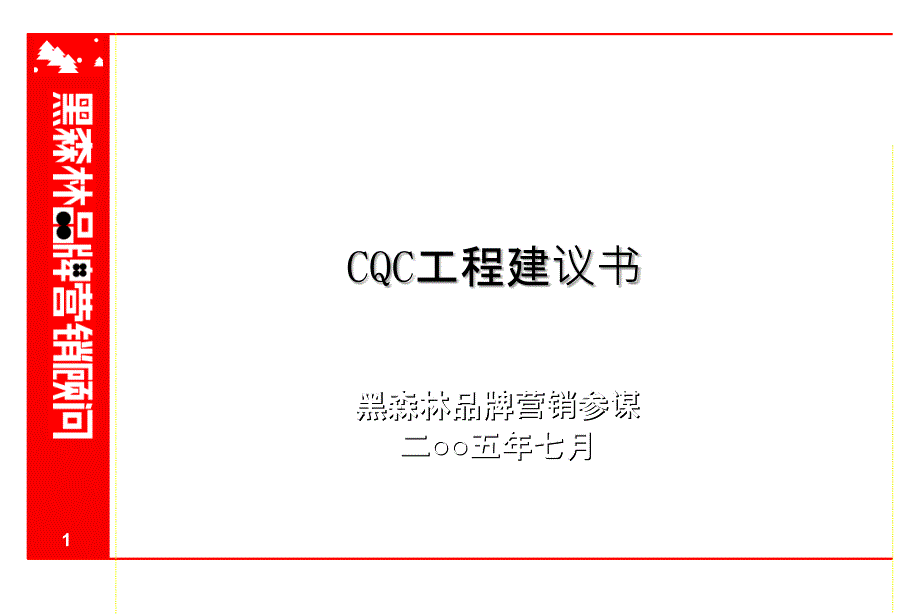 CQC项目建议书(3)_第1页