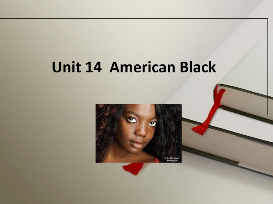 美国历史文化概况（英文版）UNIT14AmericanBlack_第1页