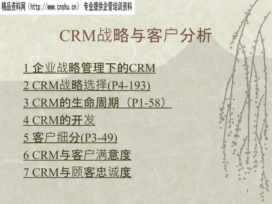 CRM战略与客户分析(ppt32)_第1页