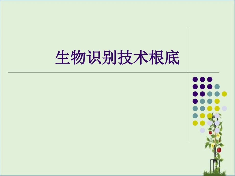 1-生物识别技术基础概述解析_第1页