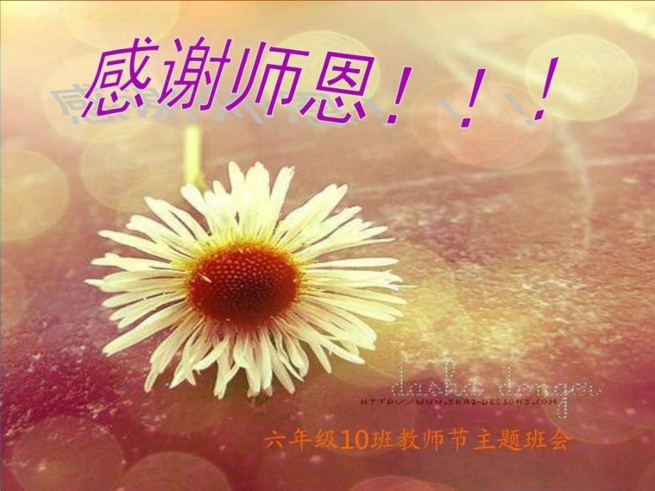 教师节班会_第1页