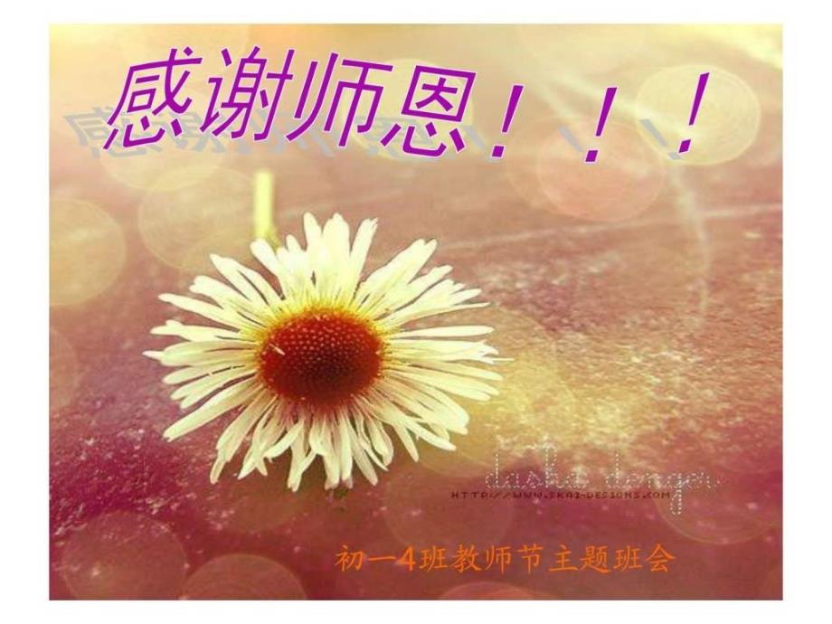 教师节班会_第1页