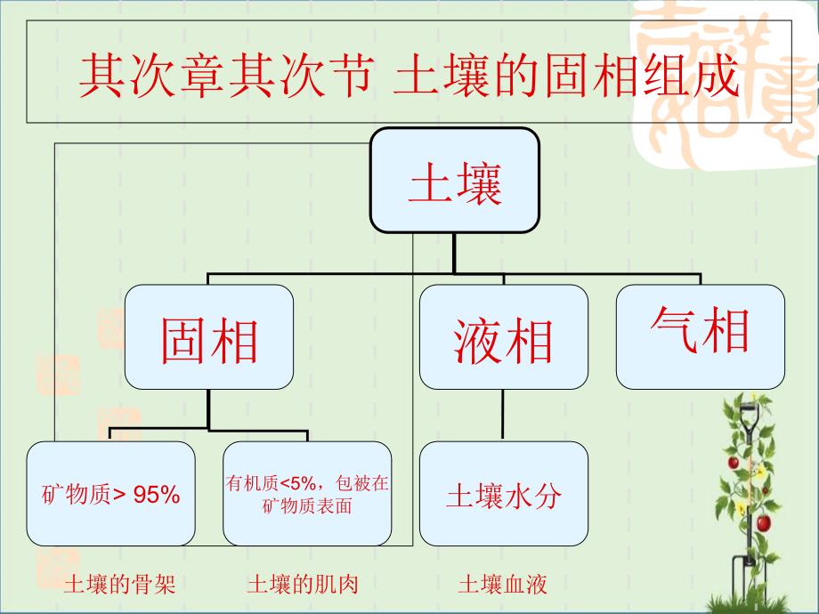 0202土壤的固相组成.._第1页