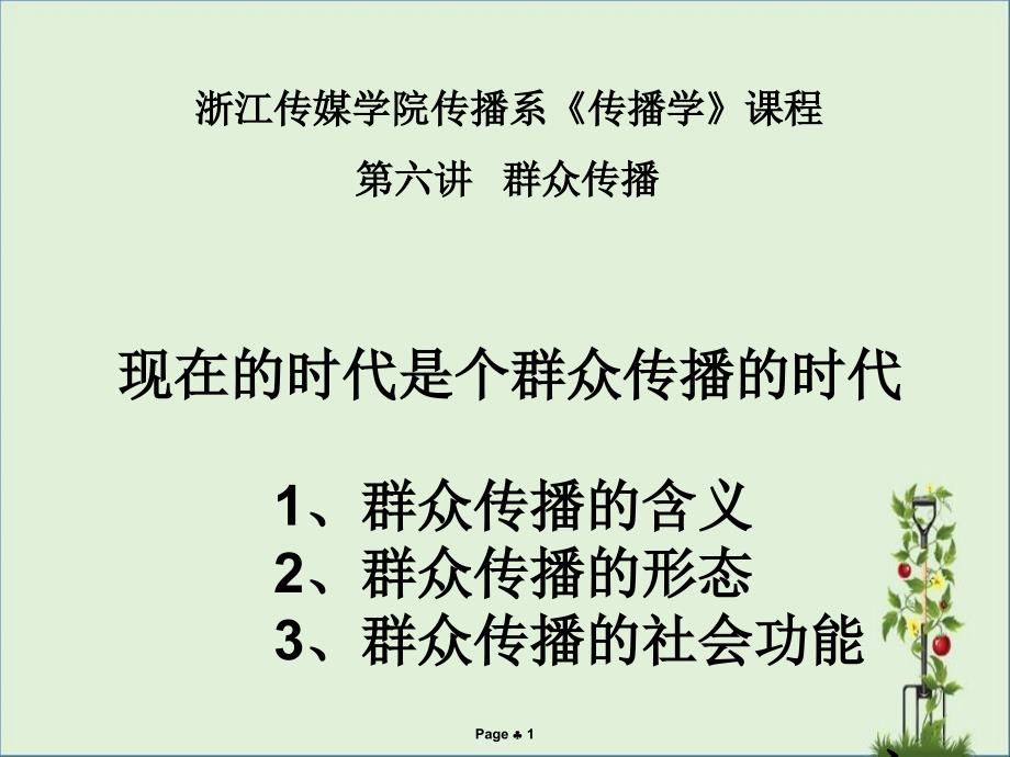 06大众传播总结_第1页