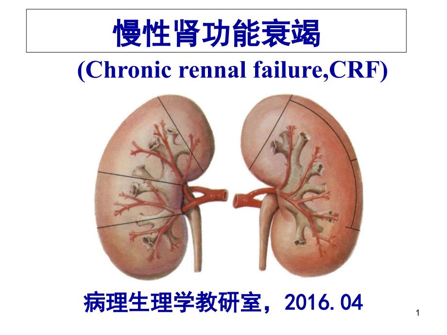 16慢性肾功能不全_课件_第1页