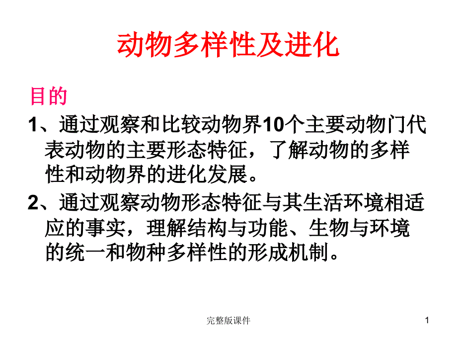 动物多样性及进化课件_第1页