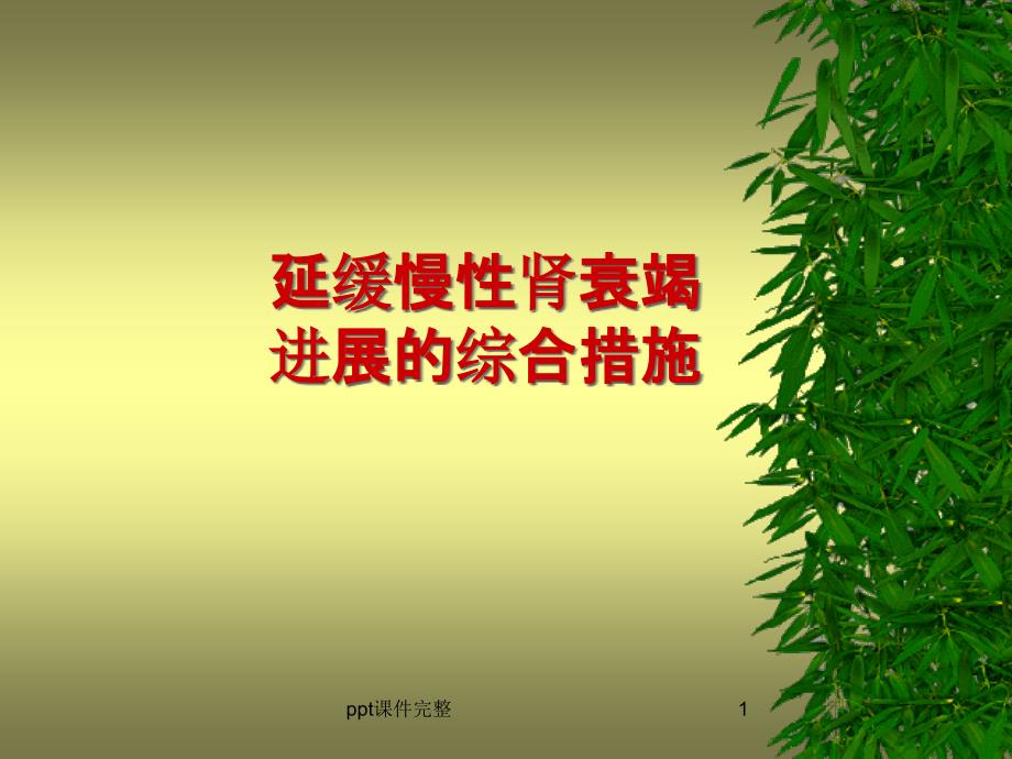 慢性肾衰竭一体化治疗课件_第1页