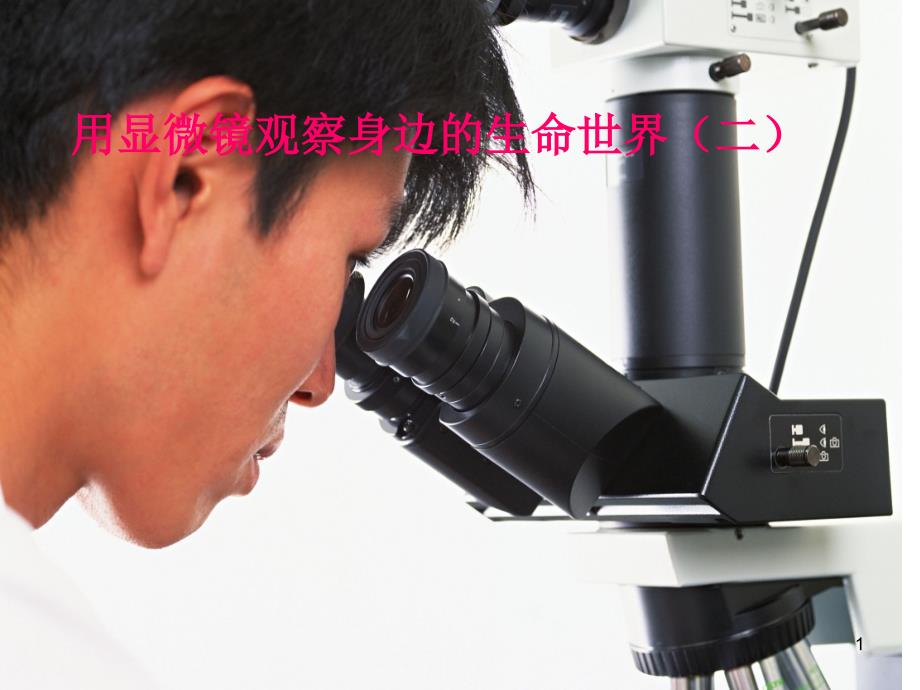 2020最新教科版小学科学六年级下册《用显微镜观察身边的生命世界(二)》教学ppt课件_第1页