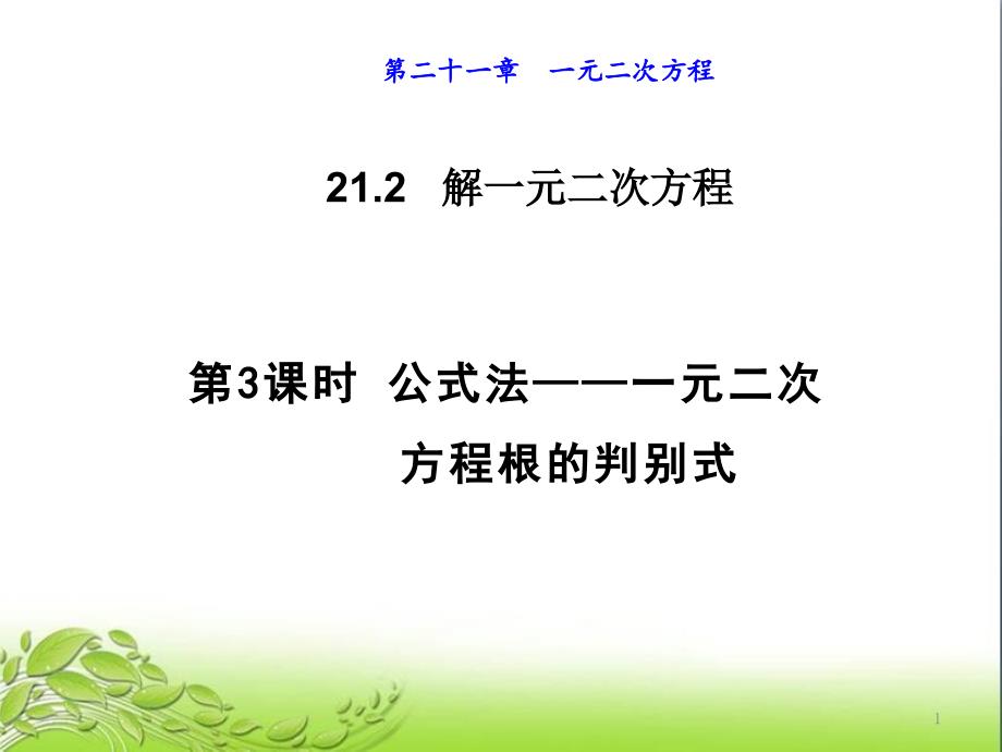 公式法一元二次方程根的判别式公开课获奖ppt课件_第1页