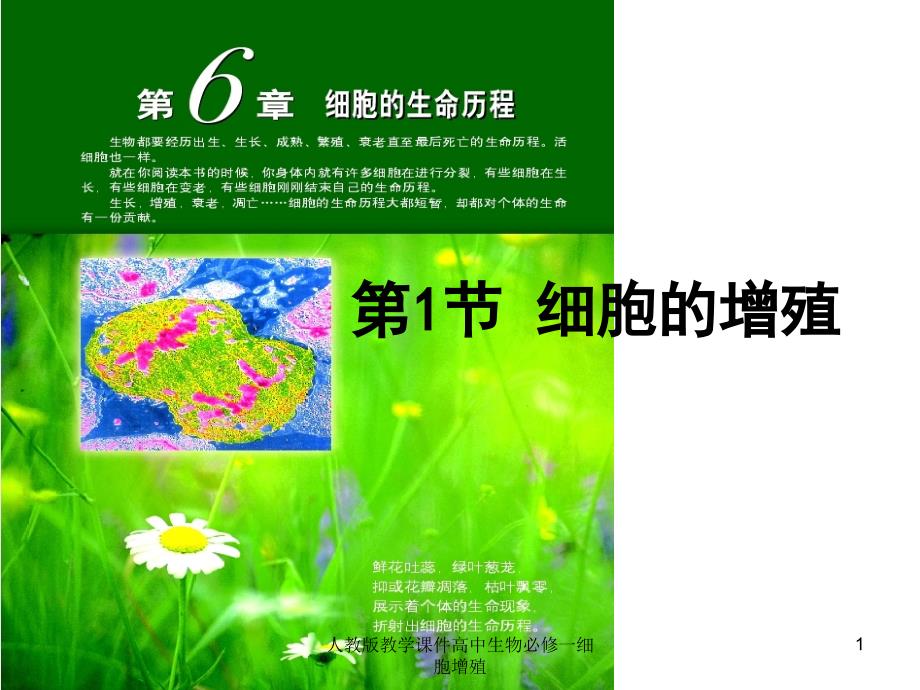 人教版教学ppt课件高中生物必修一细胞增殖【精编】_第1页