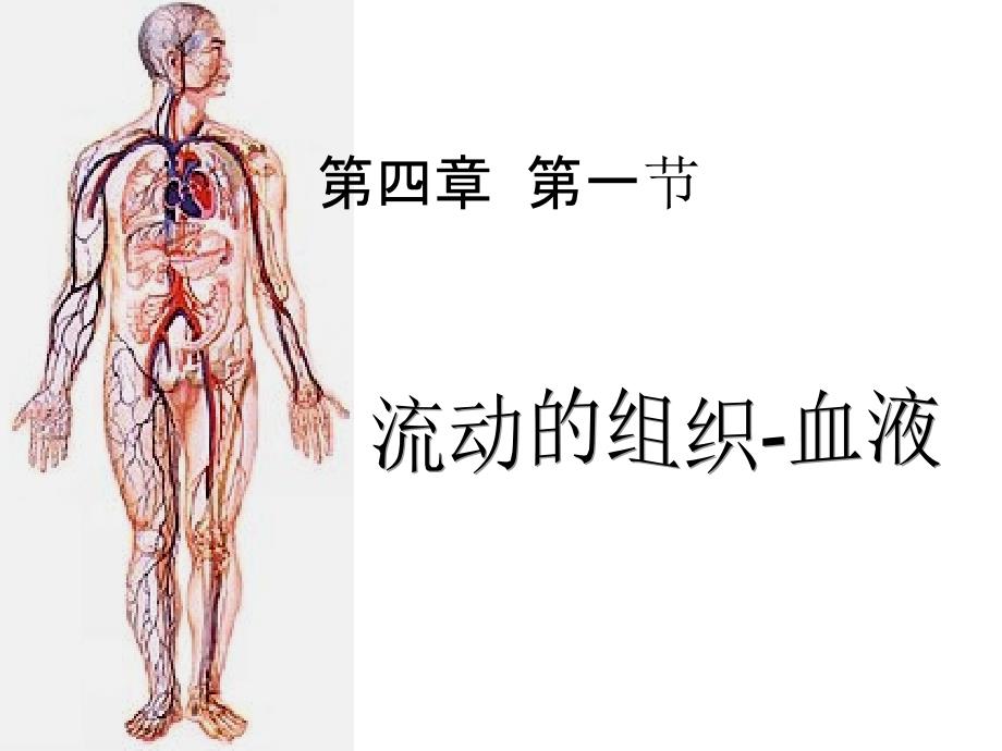 2020—2021学年人教版生物七年级下册4.4.1流动的组织—血液ppt课件_第1页