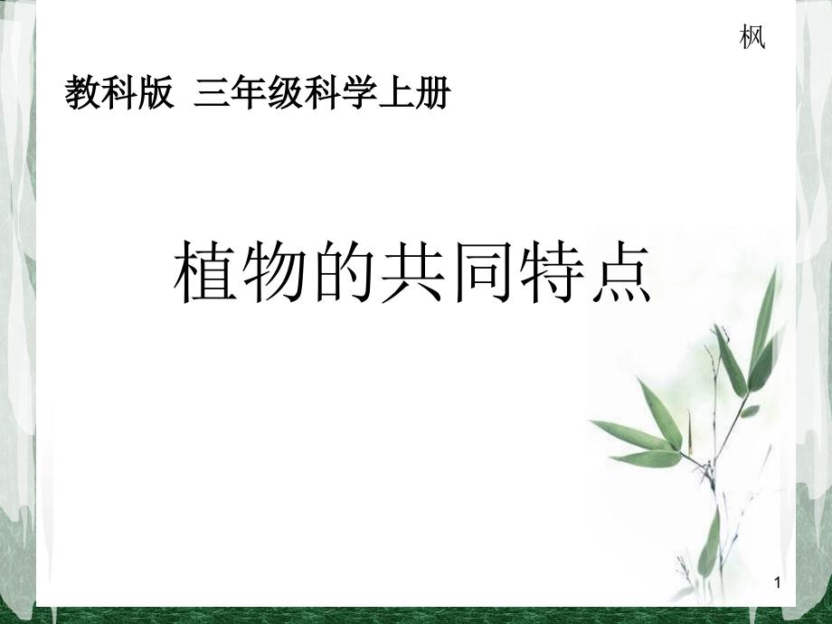 《植物的共同特点》教学课件_第1页