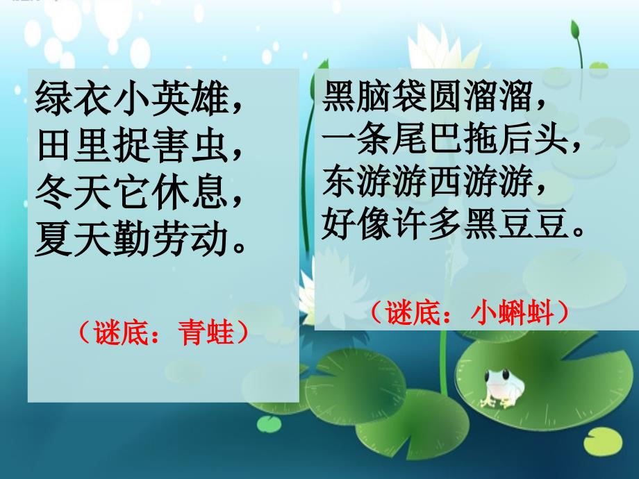 部编版小学二年级上册语文《1.小蝌蚪找妈妈》第一课时ppt课件_第1页