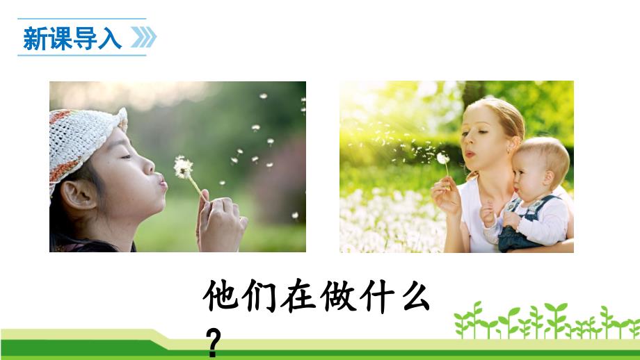 新编人教部编版二年级语文上册《植物妈妈有办法》教学ppt课件_第1页