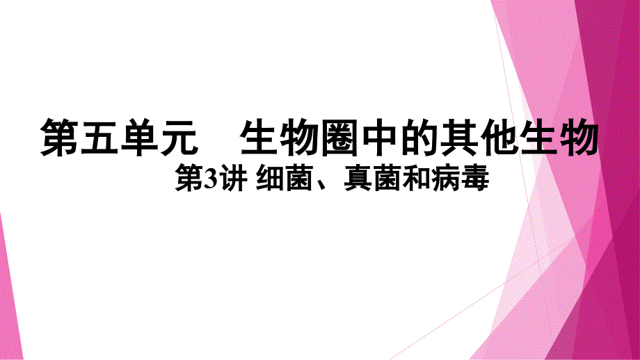 人教版-生物八年级下册-------细菌、真菌和病毒课件_第1页