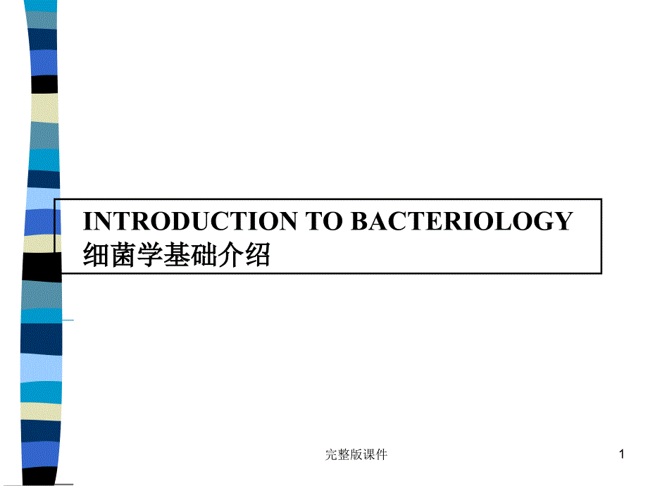 常见细菌分类课件_第1页