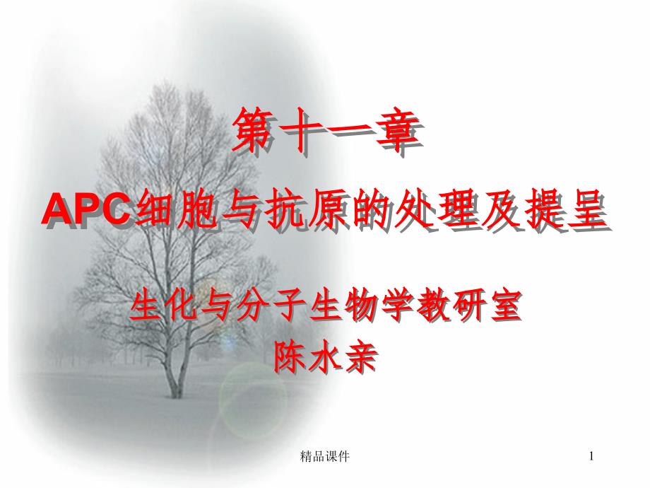 APC与抗原的处理及提呈课件_第1页