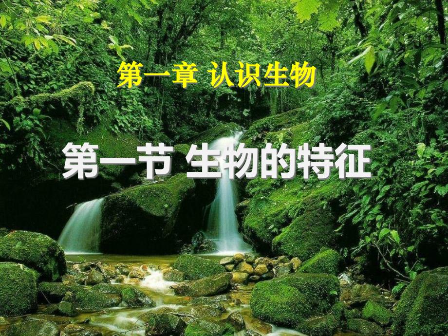 新人教版七年级上册生物-生物的特征-课件_第1页