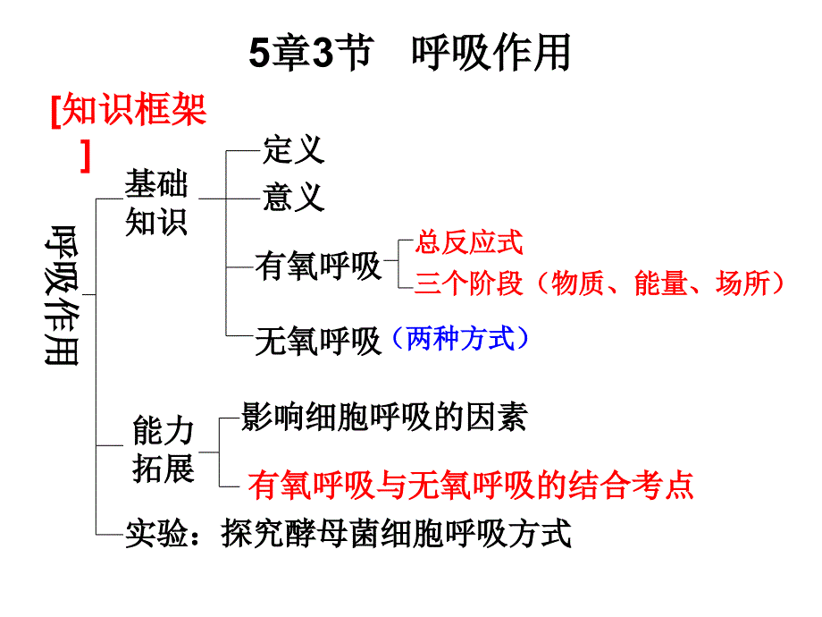 一轮复习ppt课件——呼吸作用_第1页