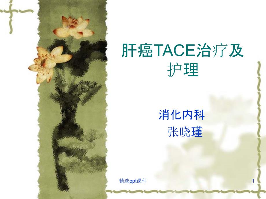 肝癌TACE治疗及护理-ppt课件_第1页