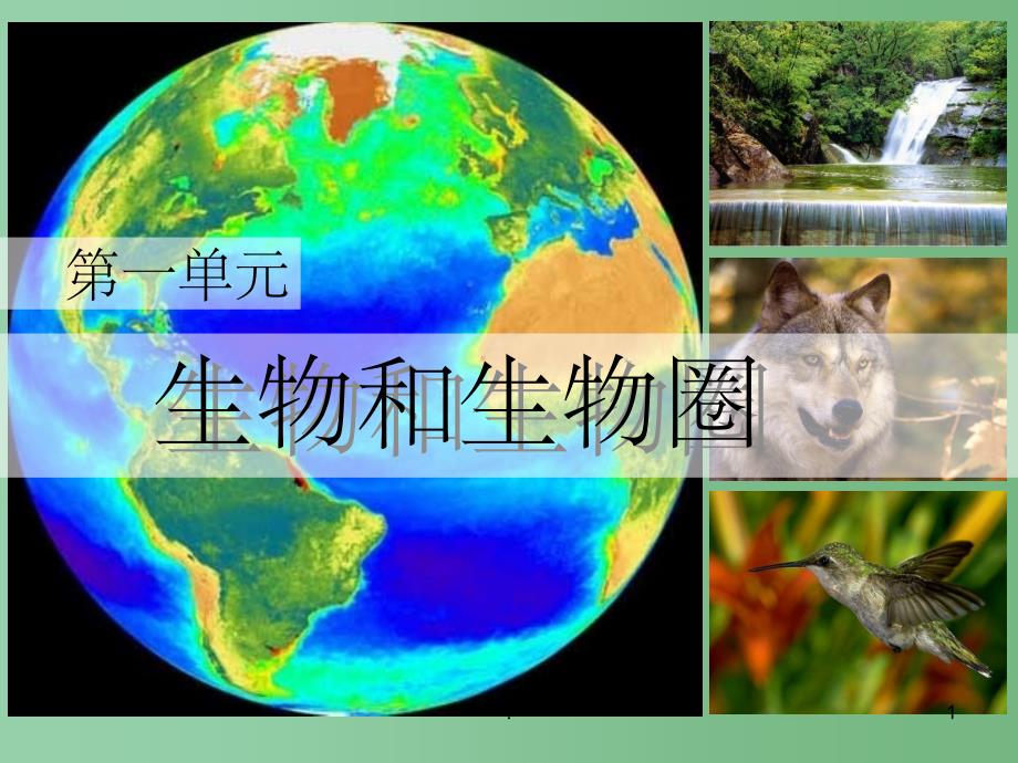 七年级生物上册-第一节生物圈ppt课件-人教新课标版_第1页