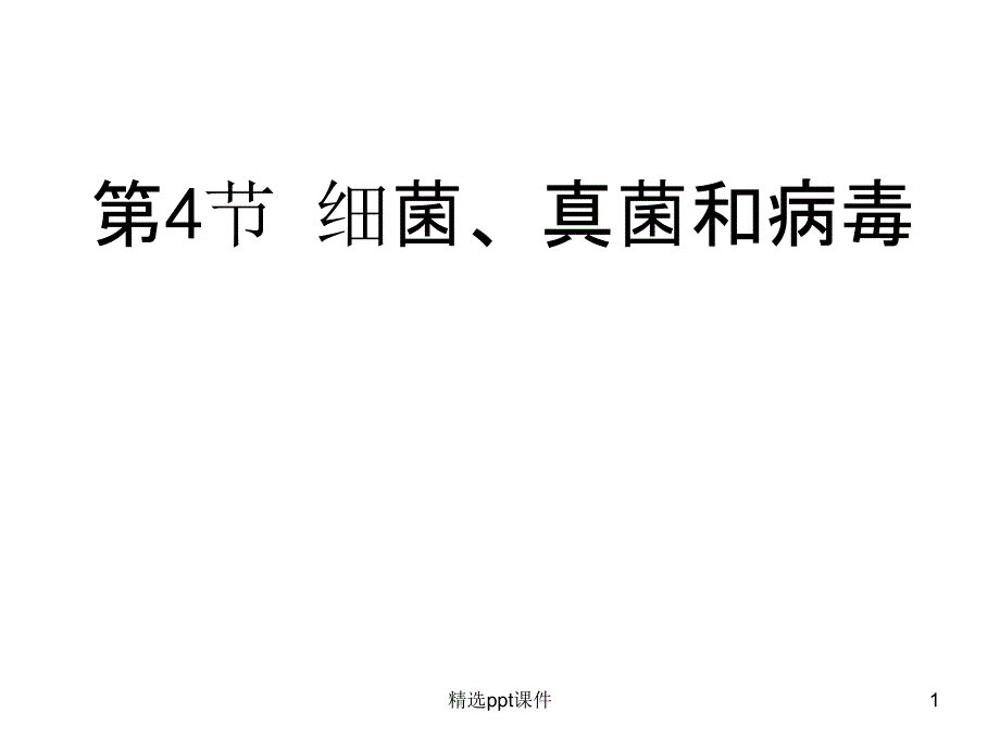 细菌、真菌和病毒的异同课件_第1页