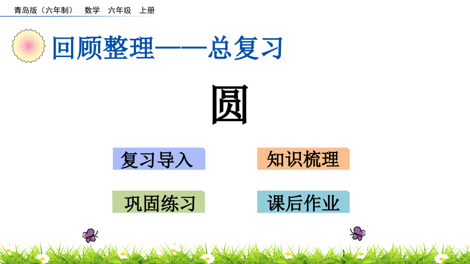 青岛版六年级数学上册回顾整理——总复习《圆》ppt课件_第1页