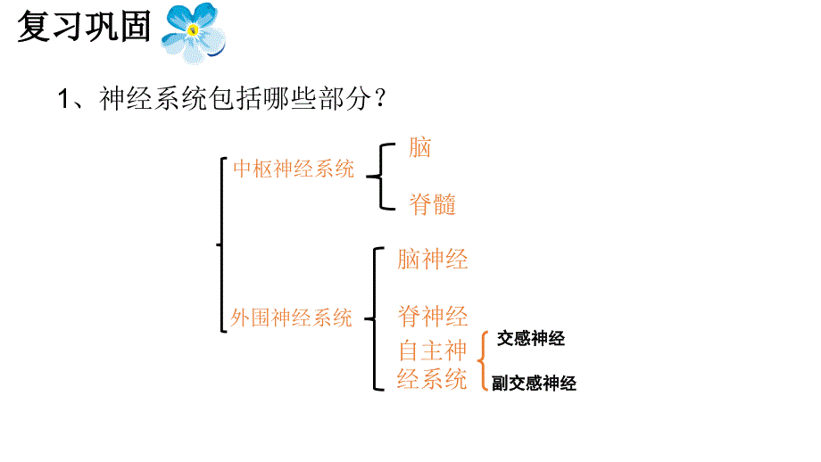 人教版生物选择性必修一22神经调节的基本方式课件_第1页